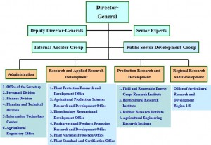 organization