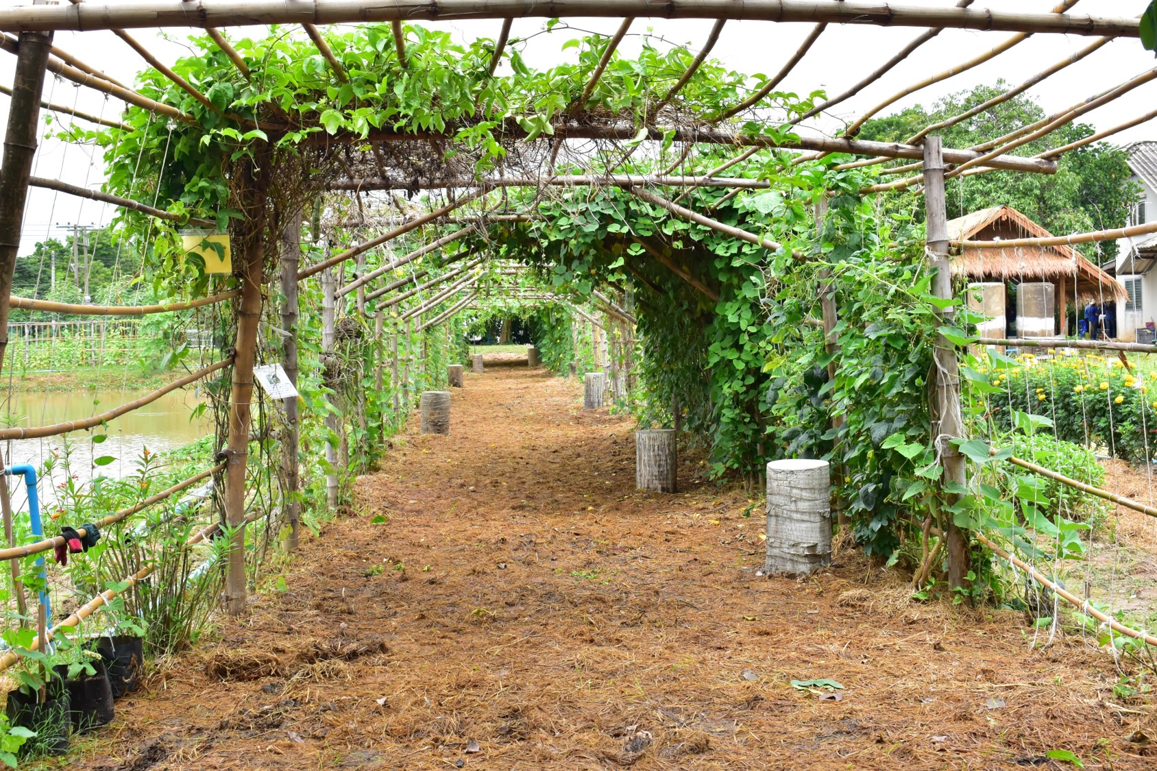 ศูนย์เรียนรู้ 3