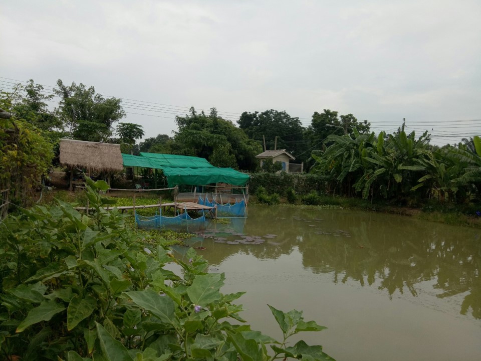 ศูนย์เรียนรู้ 4