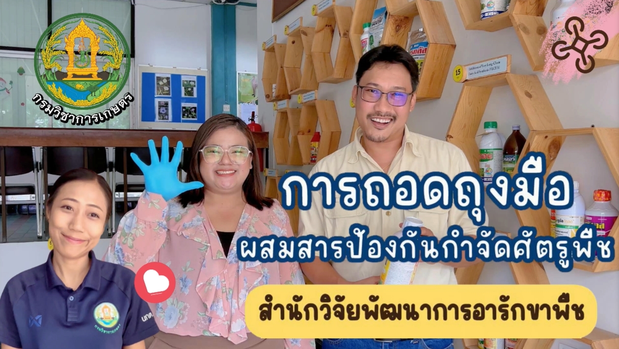 ถอดถุงมือ