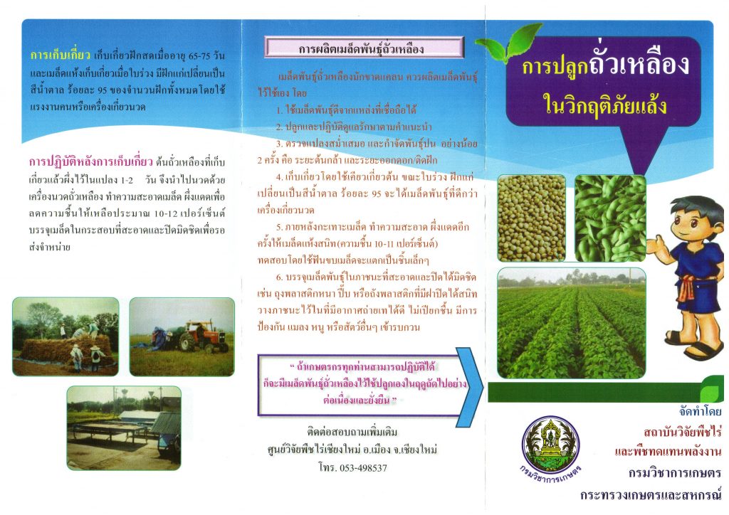 ปุ๋ยชีวภาพไรโซเบียม_ถั่วเหลือง