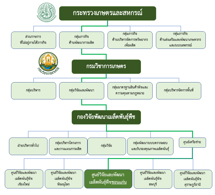 Sturcture-Khon-Kaen-Seed-Center
