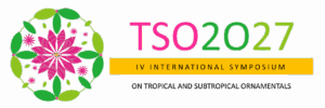 tso2027