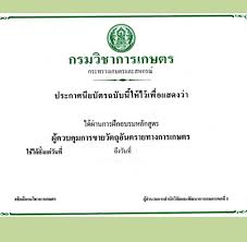 จำหน่ายและขายกัญชาเพื่อการแพทย์ ถูกต้องตามกฎหมาย