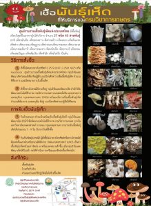 เชิ้อพันธุ์เห็ด