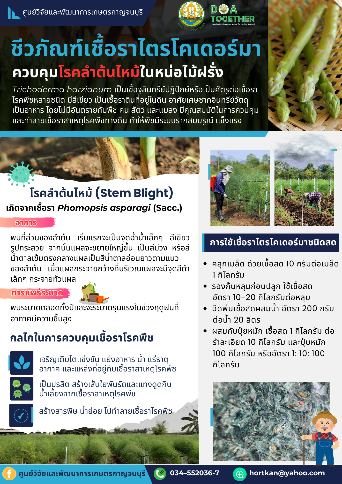 ชีวภัณฑ์ไตรโคเดอร์มา