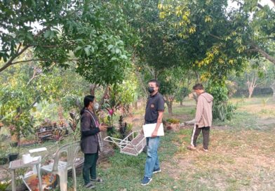 ลงพื้นที่ตรวจประเมินการรับรองแหล่งผลิตพืช GAP