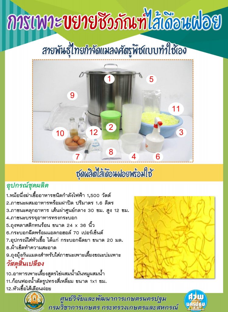 การเพาะชีวภัณฑ์ไส้เดือนฝอย
