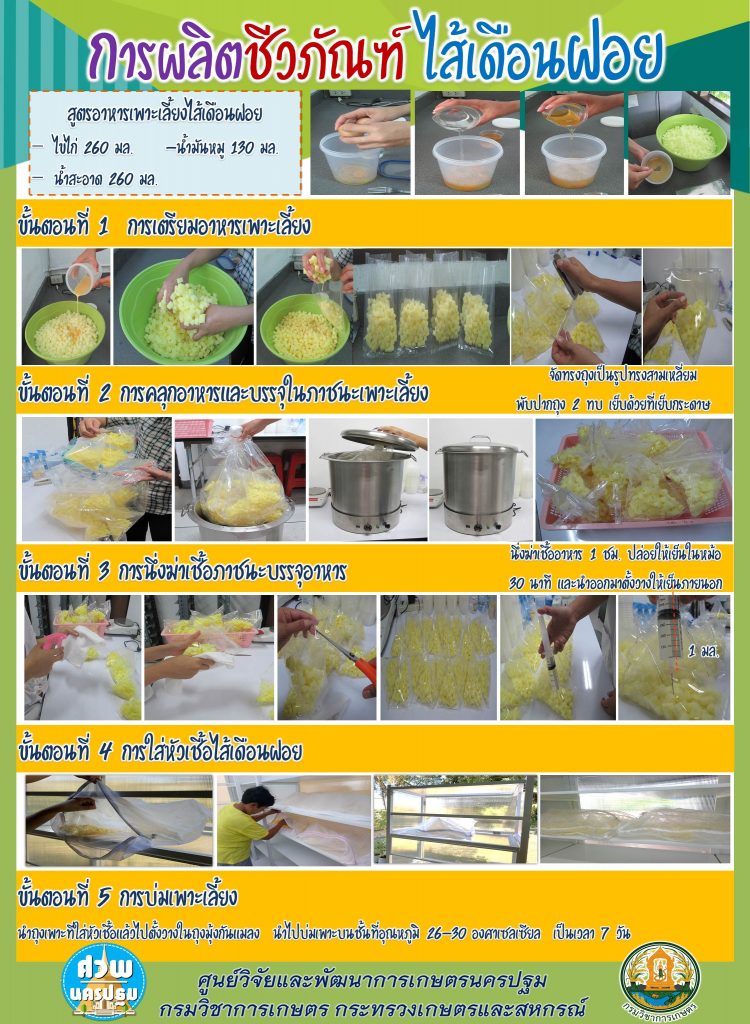 การใช้การผลิตชีวภัณฑ์ไส้เดือนฝอย