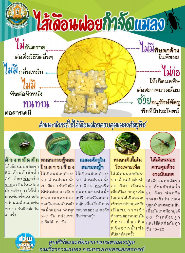 ไส้เดือนฝอยกำจัดแมลง