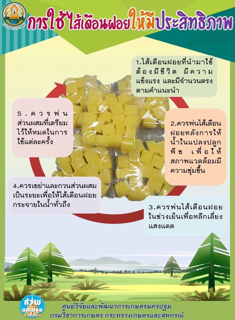 การใช้ไส้เดือนฝอยให้มีประสิทธิภาพ