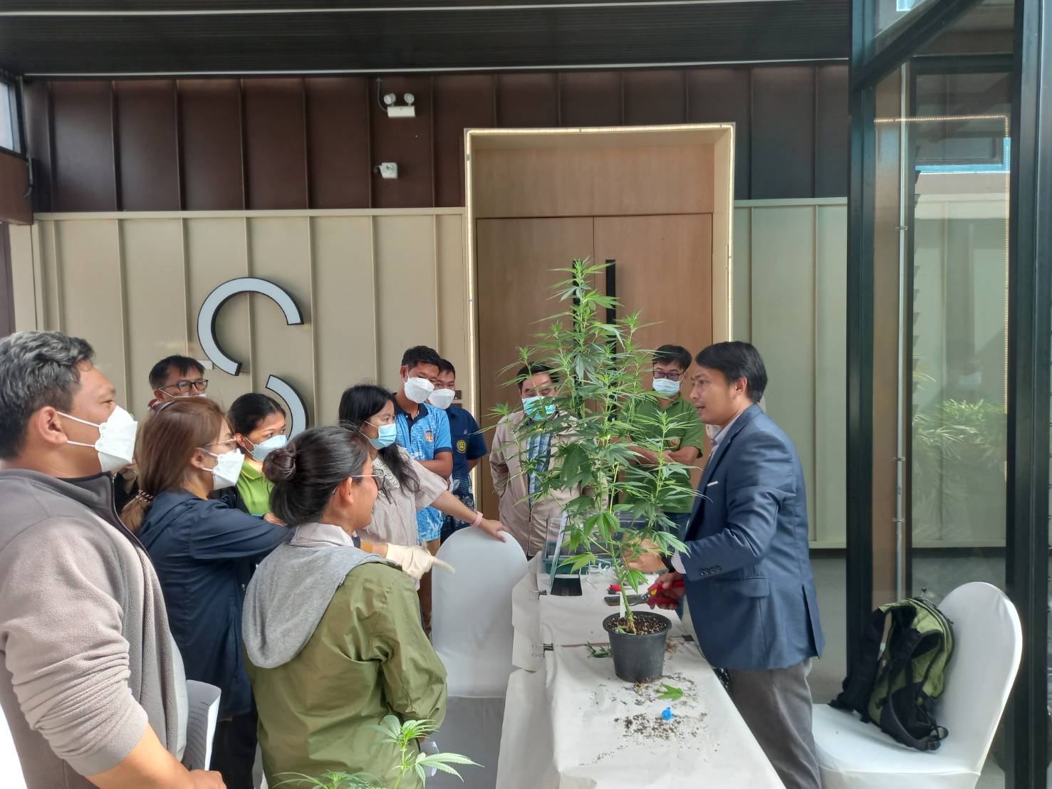 ร่วมฝึกอบรม หลักสูตร การผลิตและการขยายพันธุ์กัญชาพันธุ์ดีของกรมวิชาการเกษตร