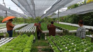 ตรวจรับรองแปลงแหล่งผลิตพืช GAP