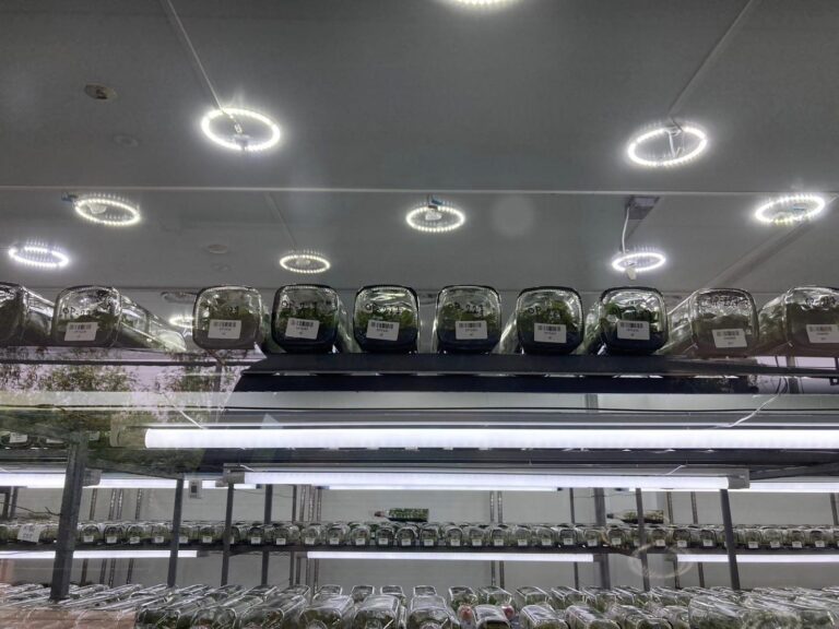 438087315_342621062168835_956697301044135411_n