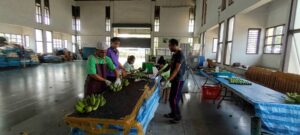 วิจัยการทดสอบเทคโนโลยีการผลิตกล้วยน้ำว้าที่เหมาะสมในพื้นที่ภาคกลาง และภาคตะวันตก