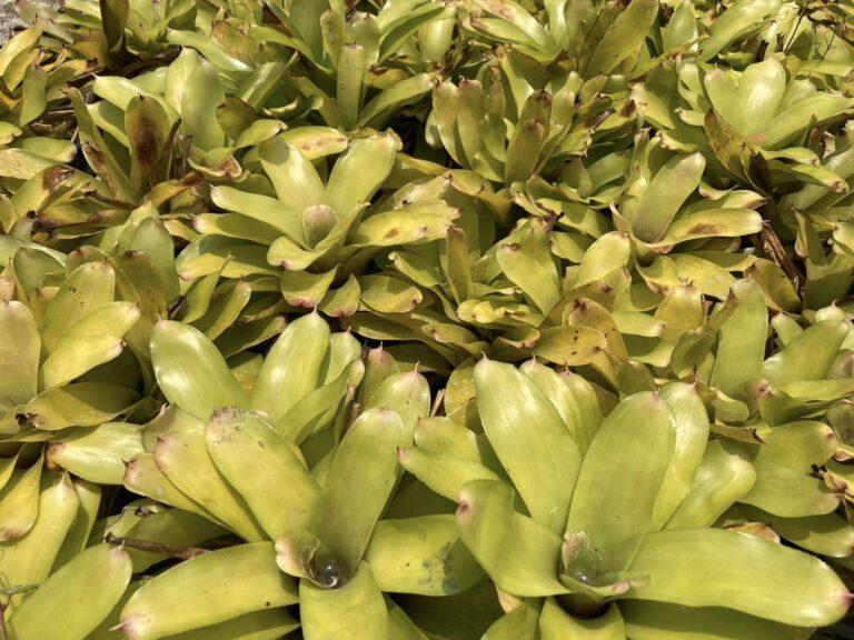 438162695_342621092168832_7263411143425815685_n