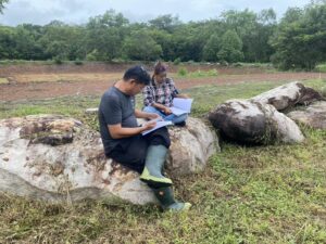 ตรวจรับรองแปลงระยะปรับเปลี่ยนพืชอินทรีย์ ต่ออายุ และติดตาม