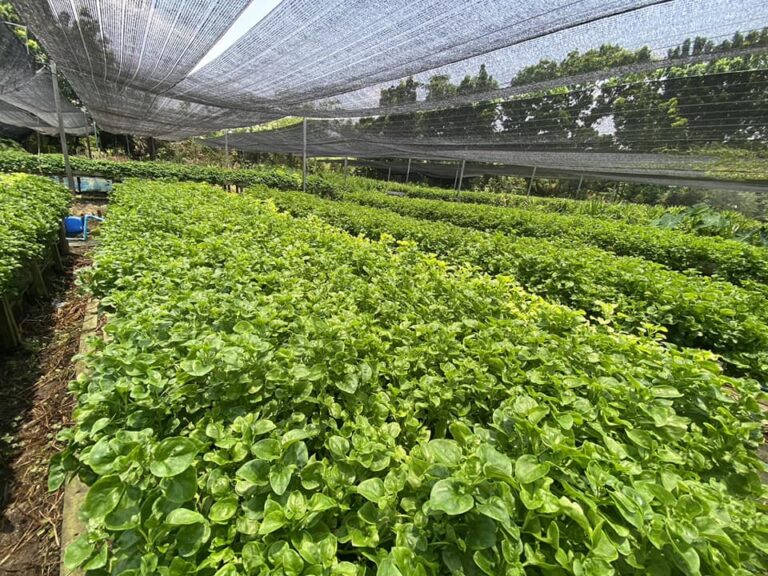 439914275_342621325502142_2380407246295979569_n