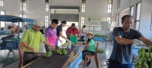 วิจัยการทดสอบเทคโนโลยีการผลิตกล้วยน้ำว้าที่เหมาะสมในพื้นที่ภาคกลาง และภาคตะวันตก