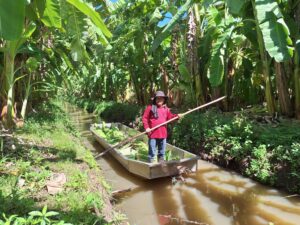 ปฏิบัติงานวิจัยการทดสอบเทคโนโลยีการผลิตกล้วยน้ำว้า