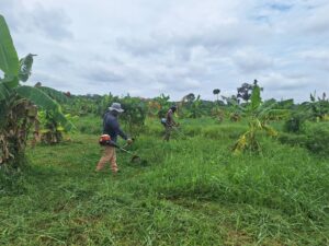 จัดทำแปลงสาธิตการปลูกผักบนคันนา ในโครงการพัฒนาพื้นที่โรงเรียนนายร้อยพระจุลจอมเกล้าฯ