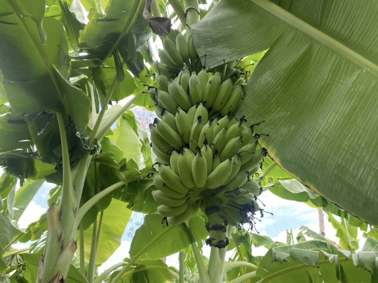 444480419_360657893698485_7800649897022668555_n