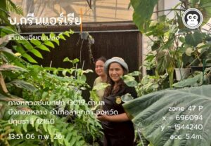 ปฎิบัติงานตรวจแมลงหวี่ขาวแปลงพืชส่งออกไปยังสหภาพยุโรป