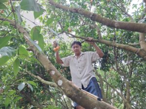 โครงการส่งเสริมและพัฒนาสินค้าเกษตรอัตลักษณ์พื้นถิ่น