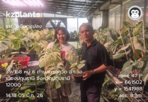 ปฎิบัติงานตรวจแมลงหวี่ขาวแปลงพืชส่งออกไปยังสหภาพยุโรป