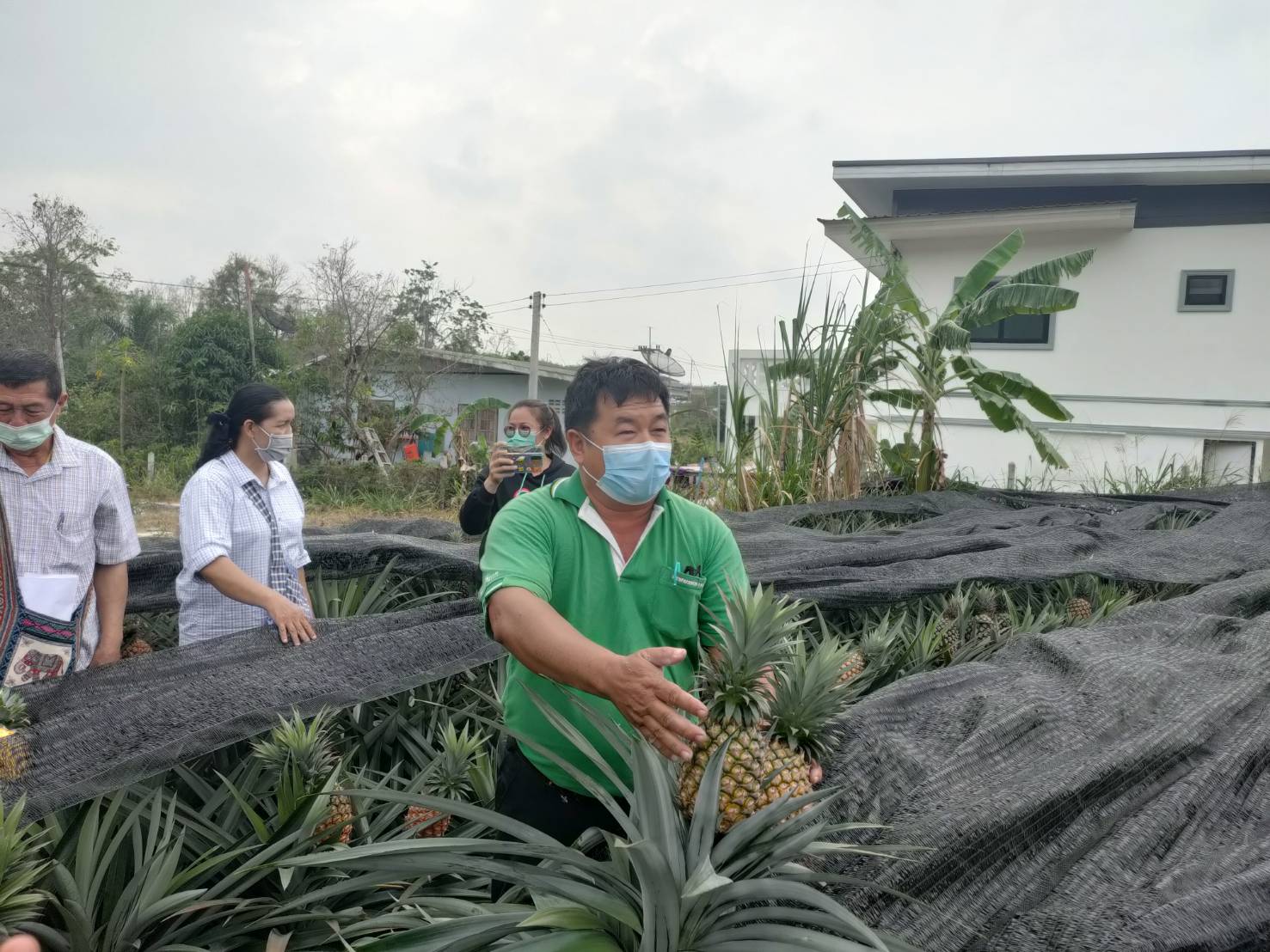 ร่วมสัมมนา เรื่อง “การผลิตสับปะรดผลสดพันธุ์ MD-2 และไต้หวันเบอร์ 17“