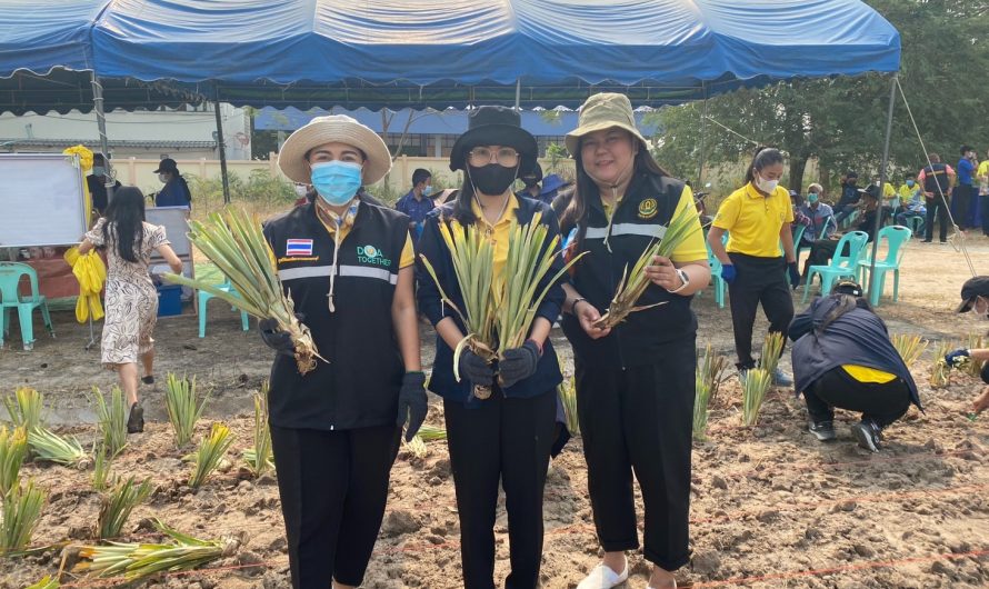 เข้าร่วมพิธีเปิดโครงการ “การพัฒนาและยกระดับการปลูกสับปะรดดอนขุนห้วยสู่มาตรฐานและการค้าเชิงพาณิชย์”