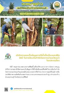 ฉบับที่ 2 เดือน พ.ค. 66