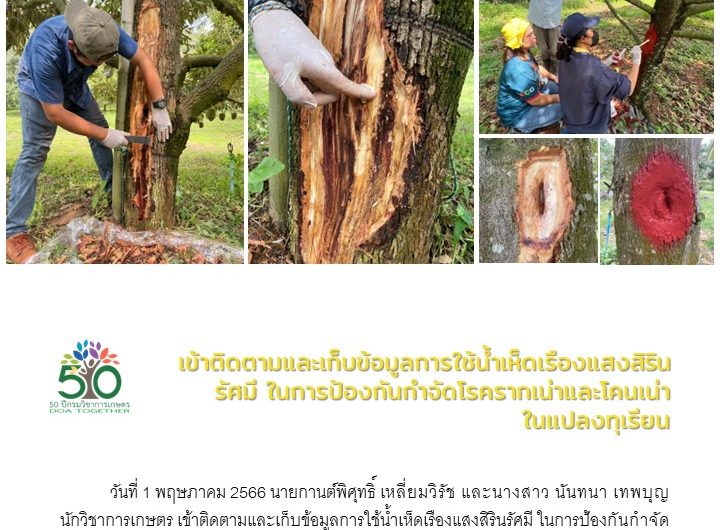 ฉบับที่ 2 เดือน พ.ค. 66