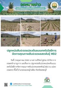 ฉบับที่ 6 เดือน พ.ค.66