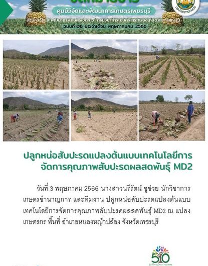 ฉบับที่ 6 เดือน พ.ค.66