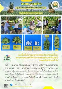 ฉบับที่ 16 เดือน พ.ค.66