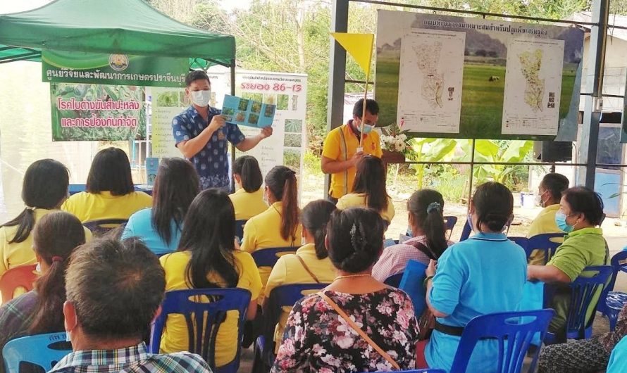 ร่วมจัดนิทรรศการและถ่ายทอดความรู้ในงานวันถ่ายทอดเทคโนโลยีเพื่อเริ่มต้นฤดูกาลผลิตใหม่ Field Day อ.คลองหาด จ.สระแก้ว