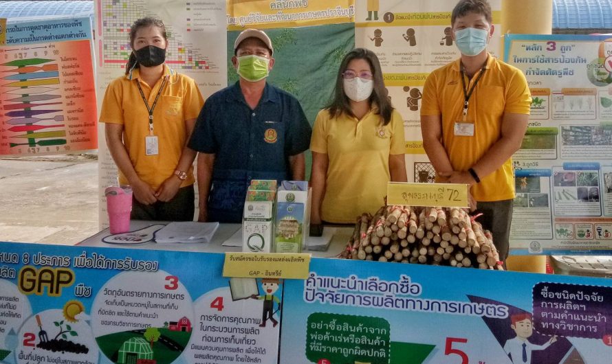 ร่วมจัดงานคลินิกเกษตรเคลื่อนที่ในพระราชานุเคราะห์ฯ ครั้งที่ 2/2564 โดยให้บริการสถานีหลัก “คลินิกพืช” ณ โรงเรียนวังหลังวิทยาคม ตำบลทุ่งมหาเจริญ อำเภอวังน้ำเย็น จังหวัดสระแก้ว