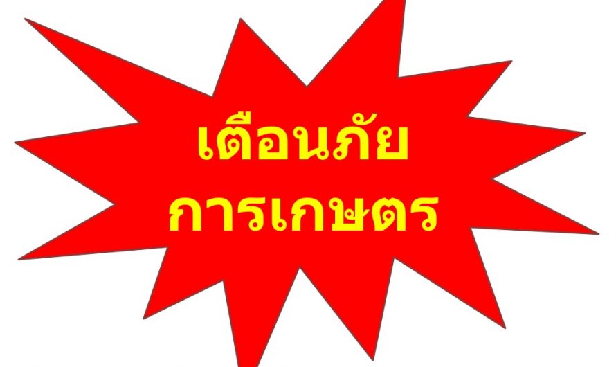 เตือนภัยการเกษตร 5-18 พฤษภาคม 2564