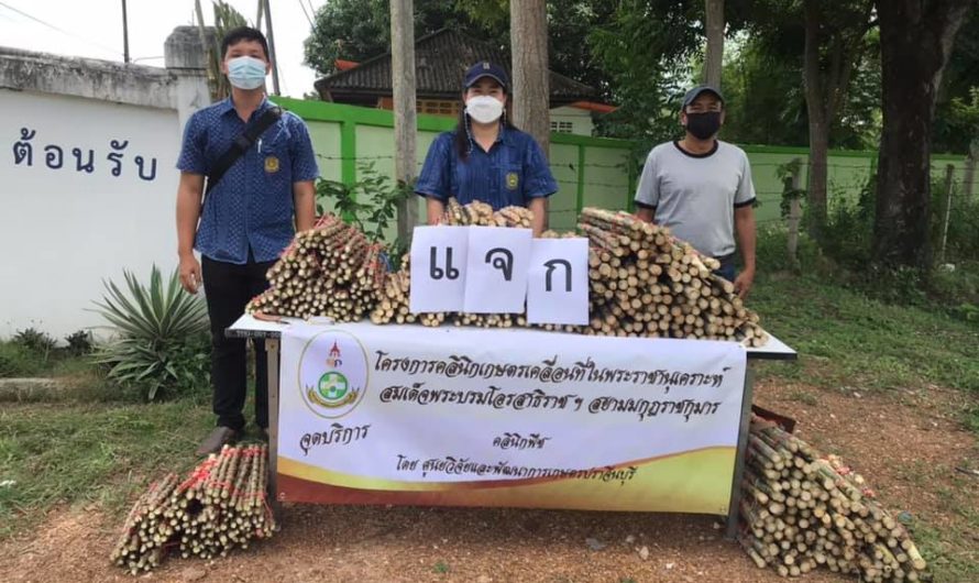 ขอเชิญรับบริการโครงการคลินิกเกษตรเคลื่อนที่ในพระราชานุเคราะห์ฯ (คลินิกพืช) ณ ศูนย์วิจัยและพัฒนาการเกษตรปราจีนบุรี ระหว่างวันที่ 7-10 กันยายน 2564