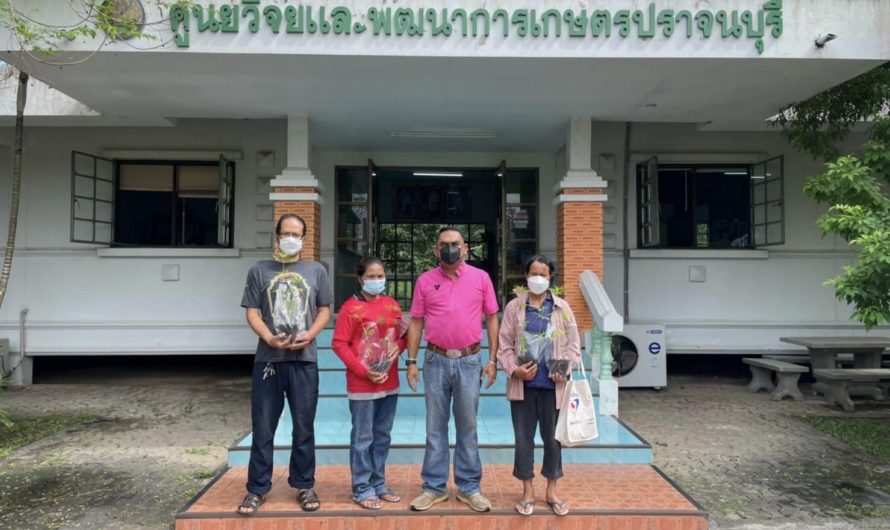 ศูนย์วิจัยและพัฒนาการเกษตรปราจีนบุรีเปิดให้รับต้นกล้ากัญชา