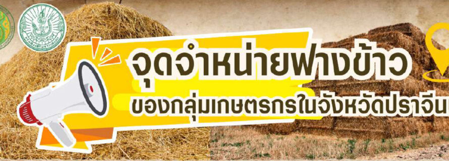 จุดจำหน่ายฟางข้าวของกลุ่มเกษตรกรในจังหวัดปราจีนบุรี