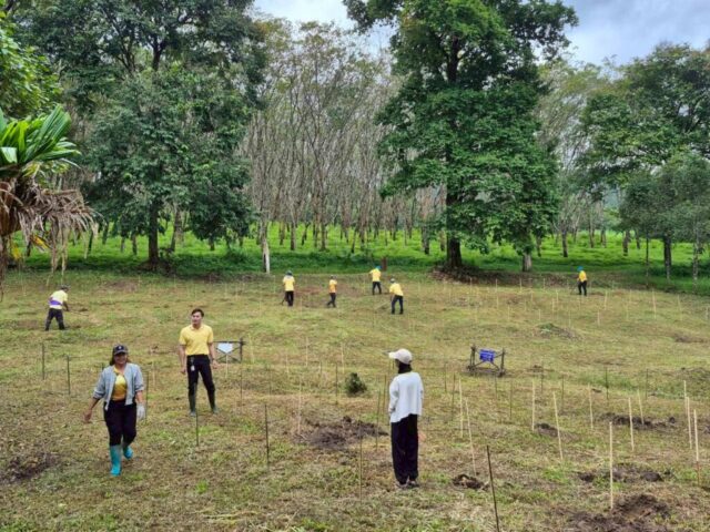 LINE_ALBUM_วันรักต้นไม้_251027_1