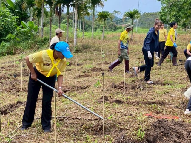 LINE_ALBUM_วันรักต้นไม้_251027_10