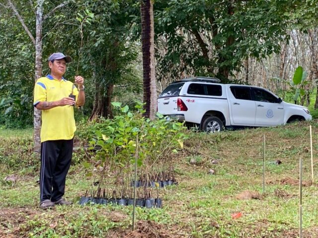 LINE_ALBUM_วันรักต้นไม้_251027_11