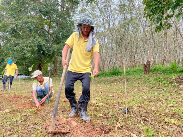 LINE_ALBUM_วันรักต้นไม้_251027_12