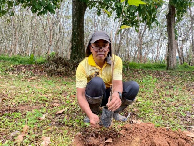 LINE_ALBUM_วันรักต้นไม้_251027_13