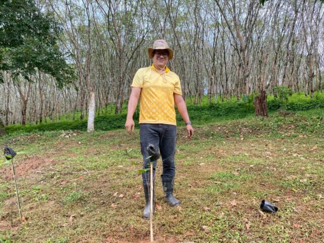 LINE_ALBUM_วันรักต้นไม้_251027_14