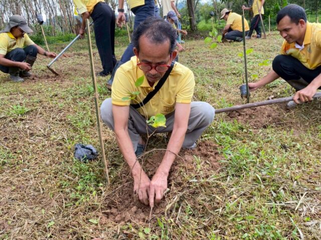 LINE_ALBUM_วันรักต้นไม้_251027_15