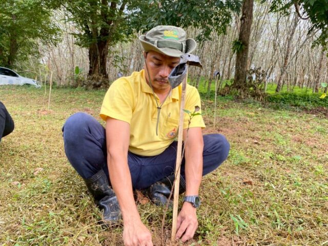 LINE_ALBUM_วันรักต้นไม้_251027_16